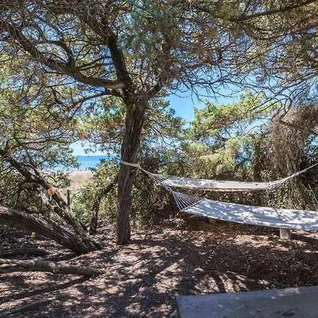 Apartman Erica *